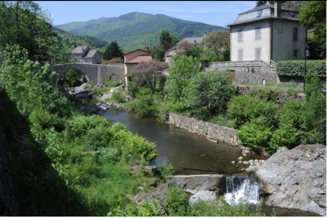 Sur Les Rochers Du Lac & Location-Rando En Vtt Villefort (Lozere) Exterior foto